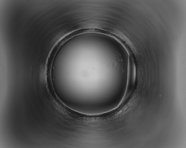 X0000093401020200710121055