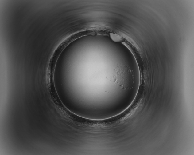 X0000093401021200710121055