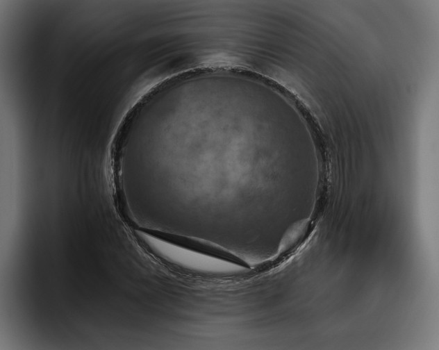 X0000093401022200710121055
