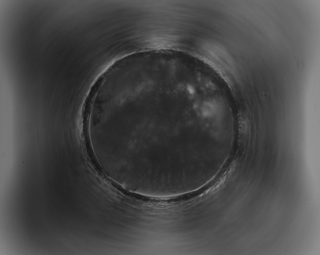 X0000093401023200710121055