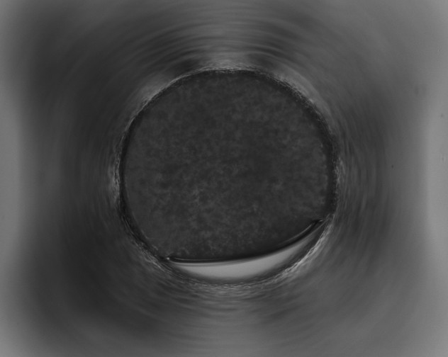 X0000093401025200710121055