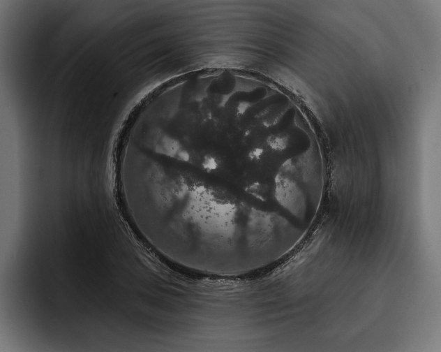 X0000093401027200710121055