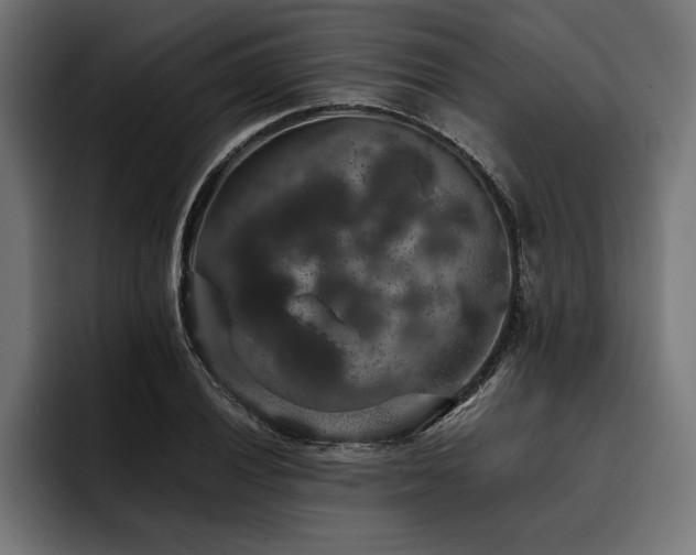 X0000093401028200710121055