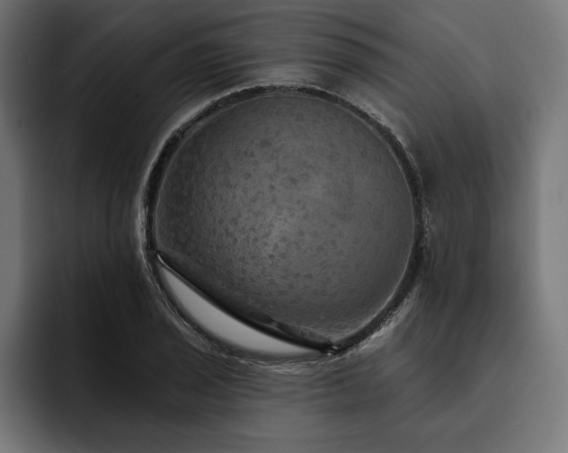 X0000093401029200710121055