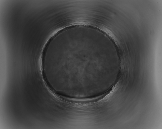 X0000093401030200710121055