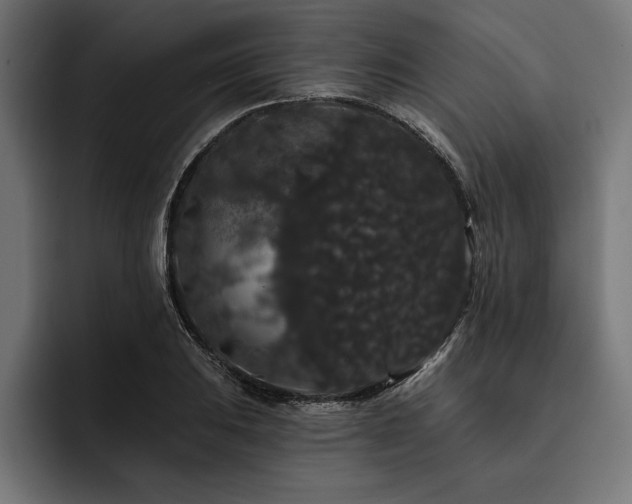 X0000093401031200710121055