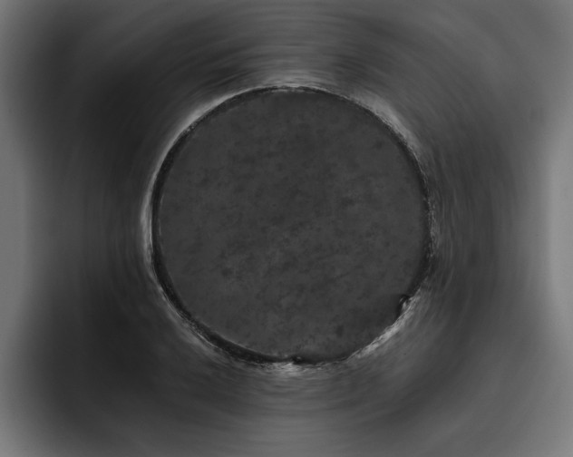 X0000093401032200710121055