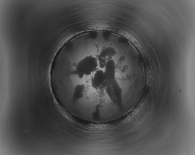 X0000093401039200710121055