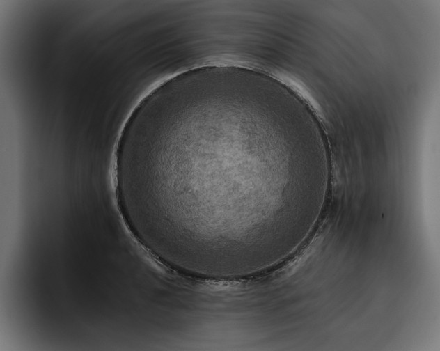 X0000093401040200710121055