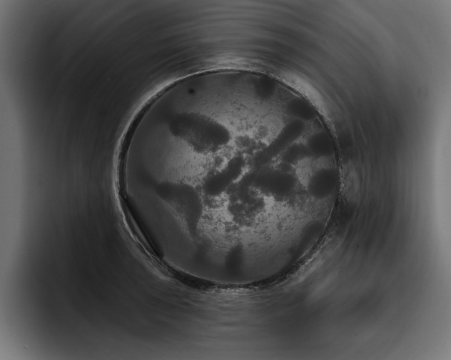 X0000093401043200710121055