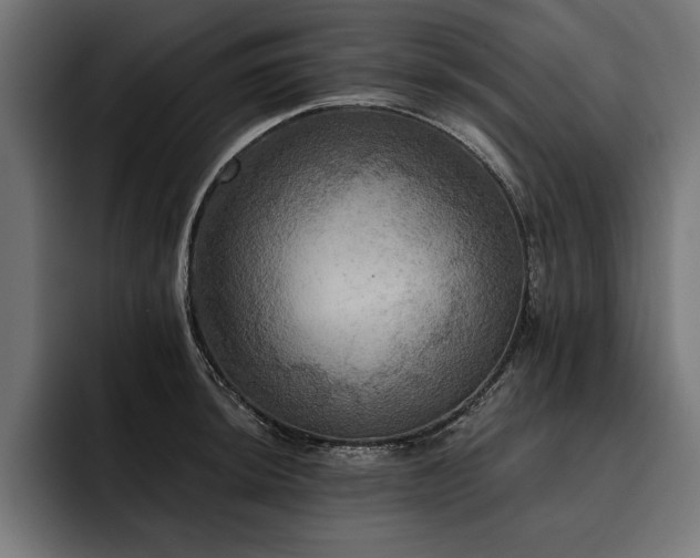 X0000093401044200710121055