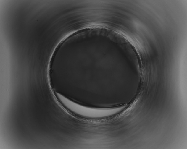 X0000093401045200710121055