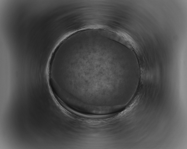 X0000093401046200710121055
