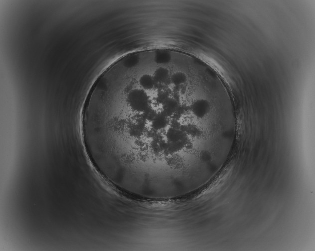 X0000093401047200710121055