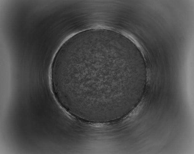 X0000093401048200710121055