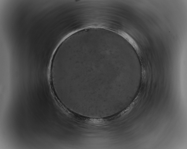 X0000093401052200710121055