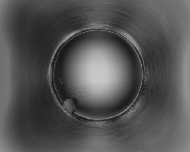 X0000093401053200710121055