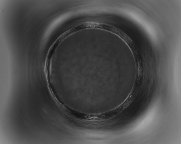 X0000093401054200710121055