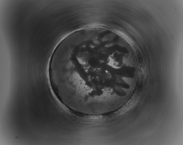 X0000093401055200710121055