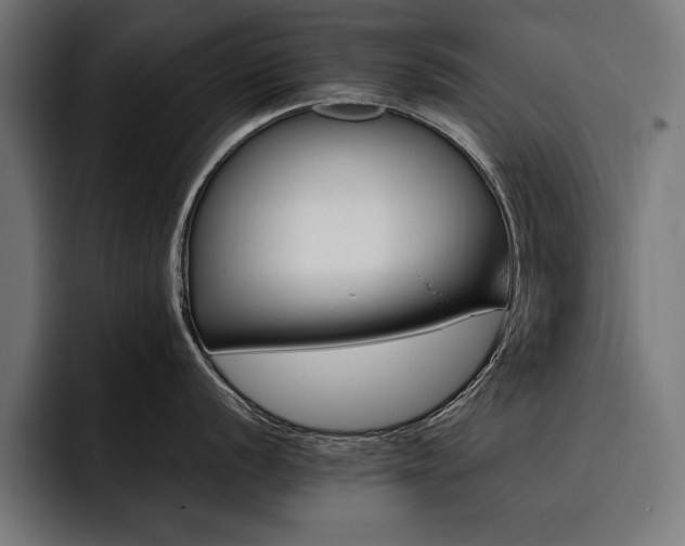 X0000093401056200710121055