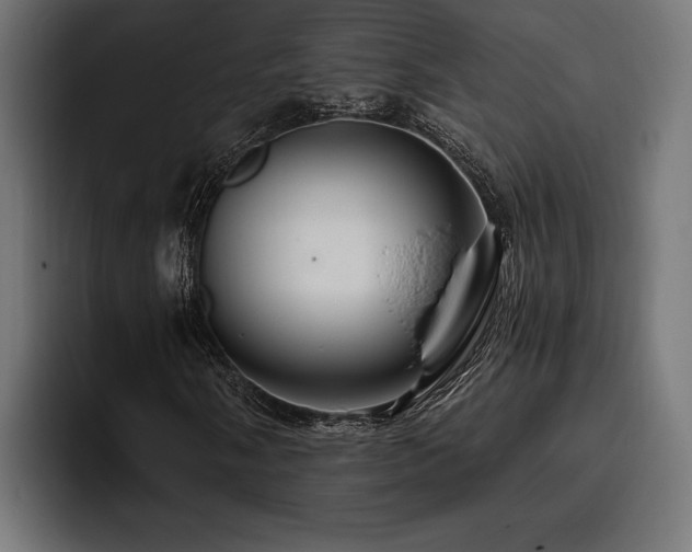 X0000093401058200710121054