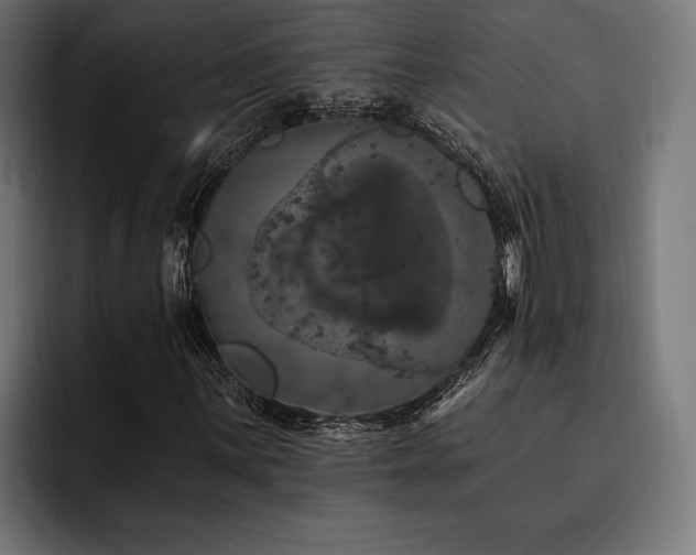 X0000093401059200710121054