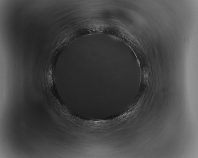 X0000093401060200710121054