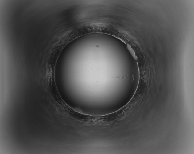 X0000093401061200710121054