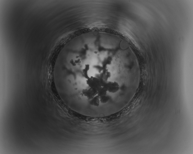 X0000093401063200710121054