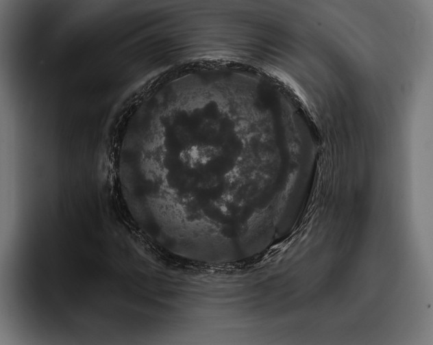 X0000093401064200710121054