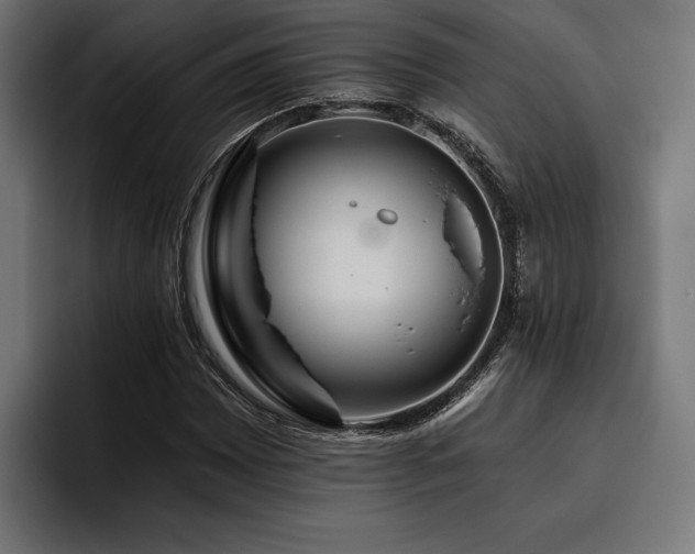 X0000093401065200710121054