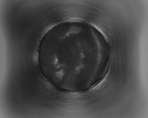 X0000093401066200710121054