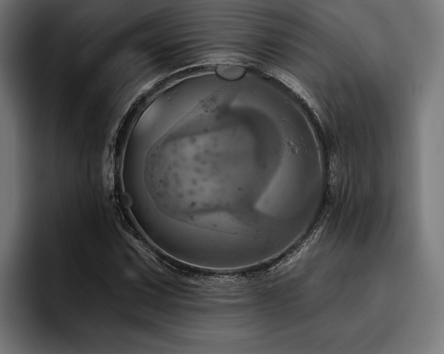X0000093401067200710121054