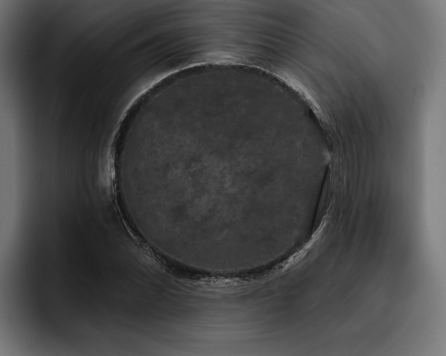 X0000093401070200710121054