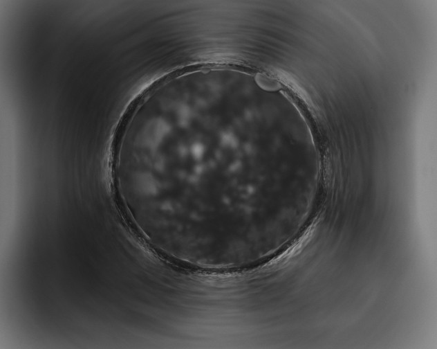 X0000093401071200710121054