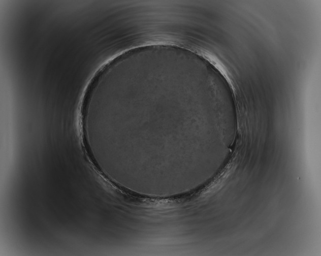 X0000093401072200710121054