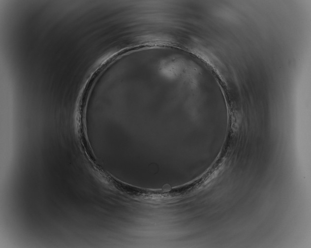 X0000093401074200710121054