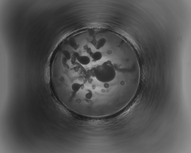 X0000093401075200710121054