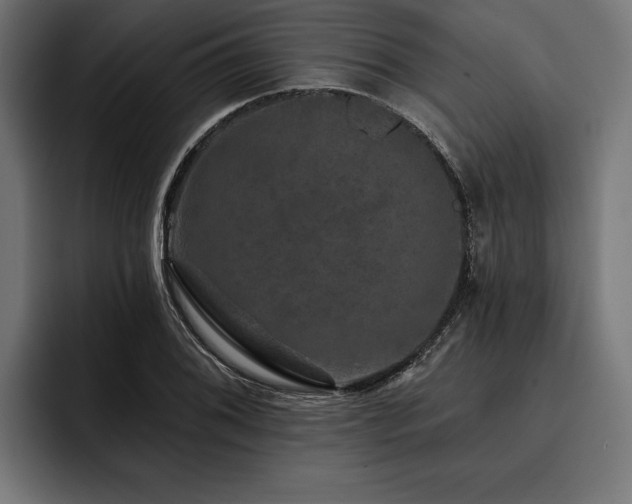 X0000093401076200710121054