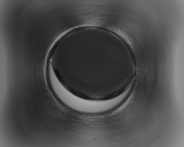 X0000093401077200710121054