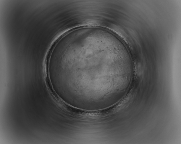 X0000093401078200710121054