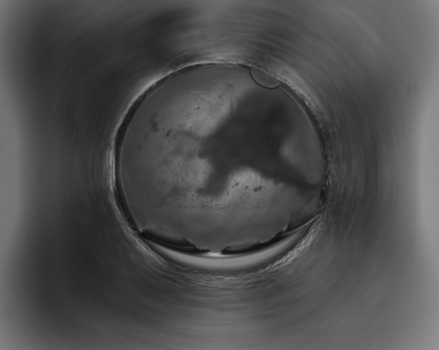 X0000093401079200710121054