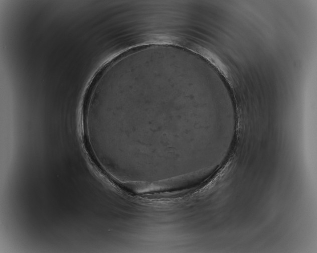 X0000093401080200710121054