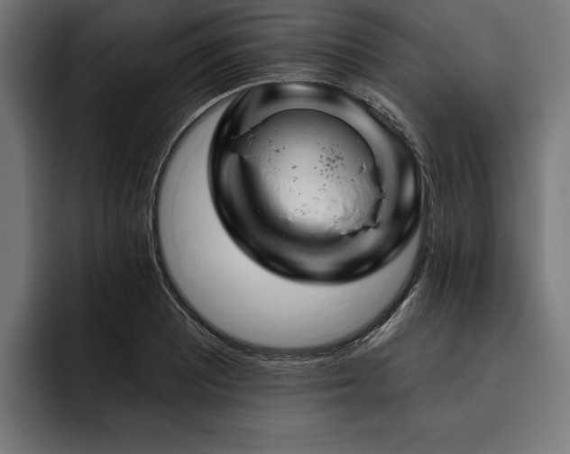 X0000093401081200710121054