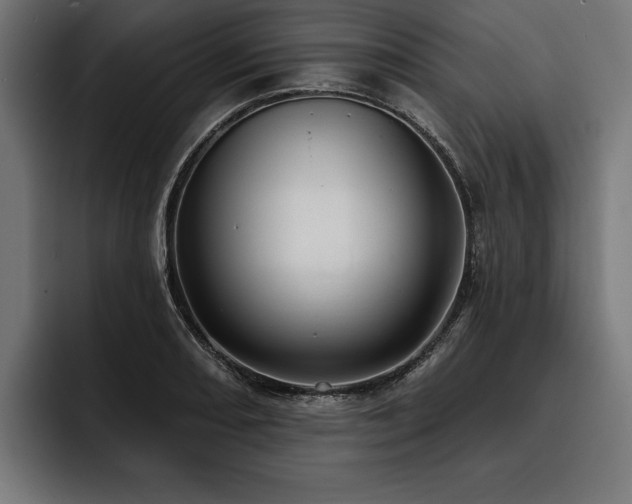 X0000093401082200710121054