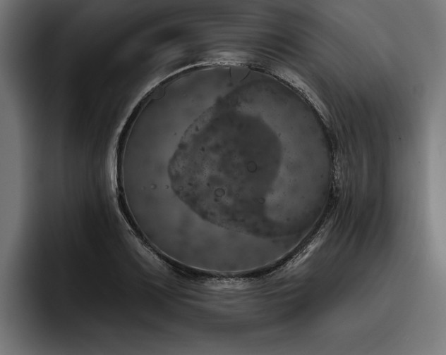 X0000093401083200710121054