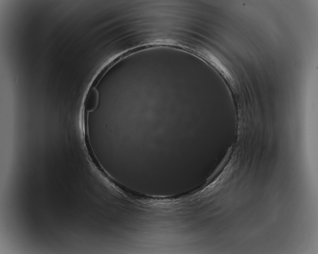 X0000093401084200710121054