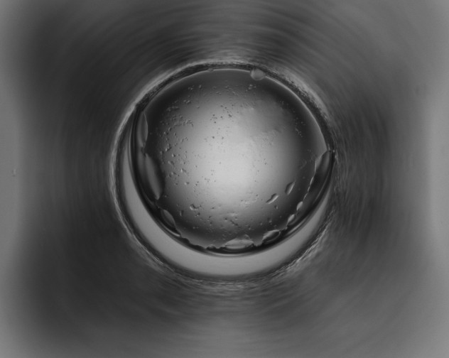 X0000093401085200710121054