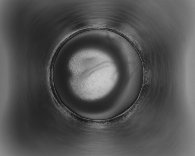 X0000093401086200710121054