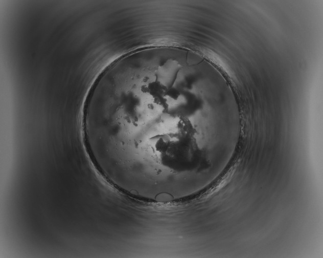 X0000093401087200710121054